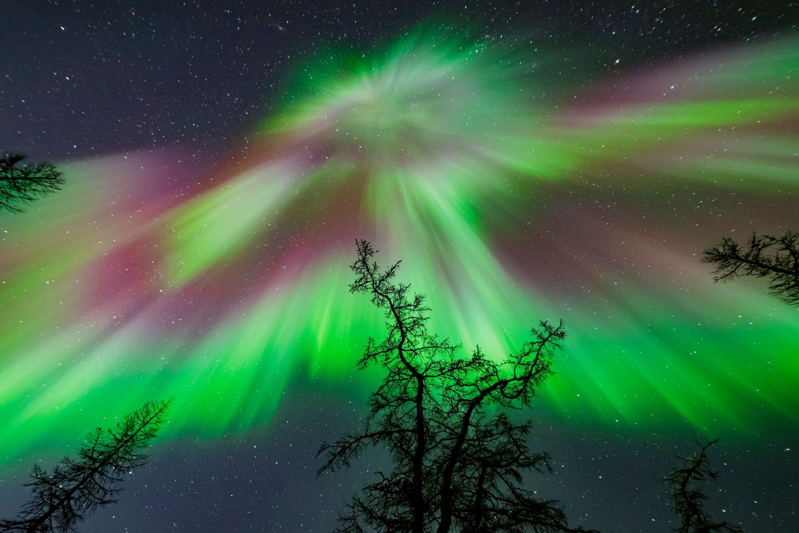 L'aurora boreale: cosa crea quelle luci nel cielo del Nord