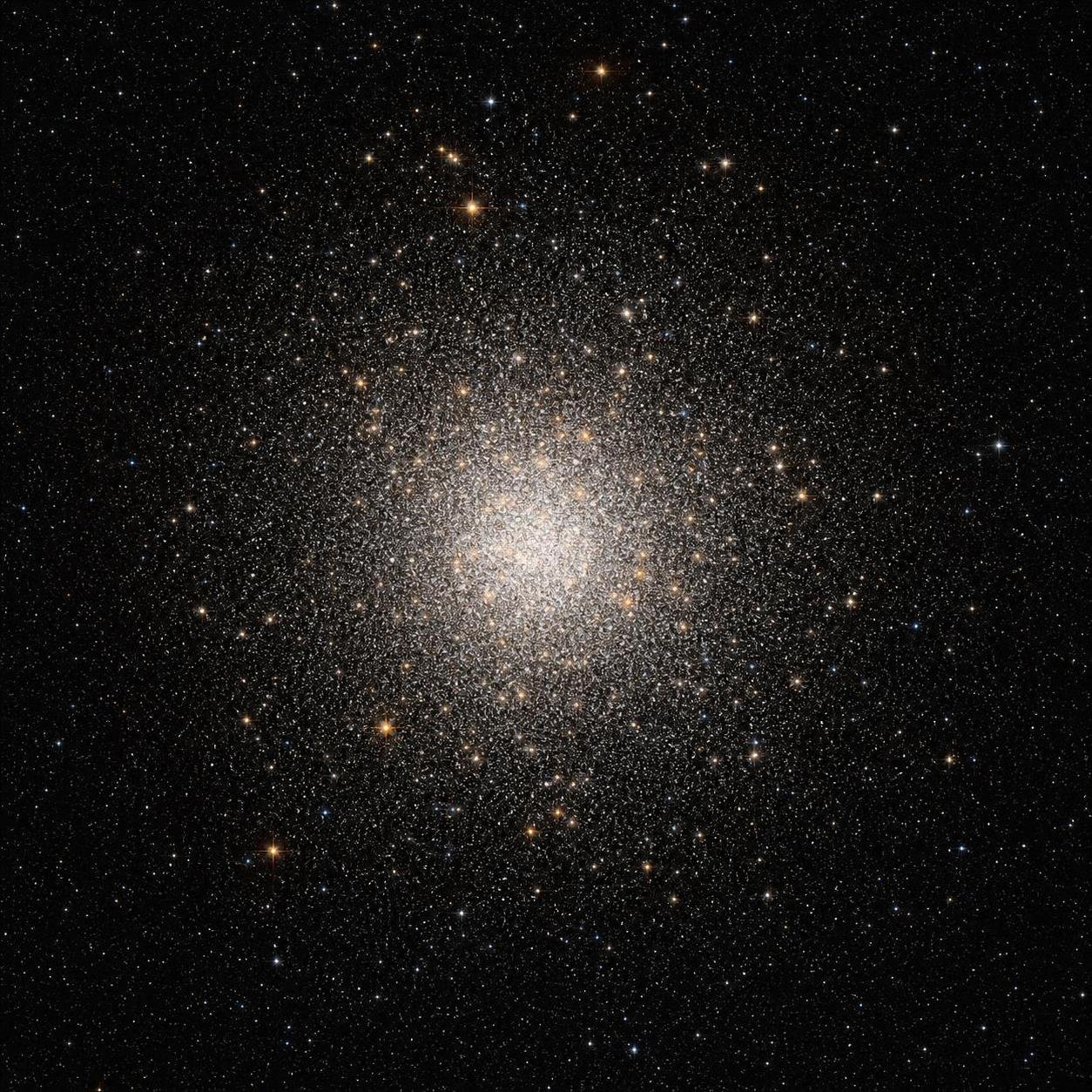 Ammassi stellari: le Pleiadi, Omega Centauri e le famiglie di stelle del cosmo