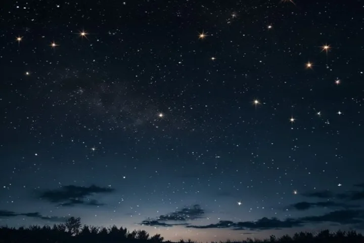 Immagine di approfondimento